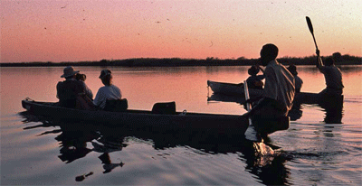 Okavango Delta