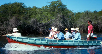 Exploring the lagoons