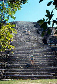 Mayan ruins at Tikal