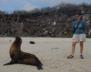 Marcia and a sea lion
