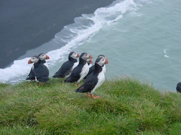 Winter moon over Tjornin, Reykjavik